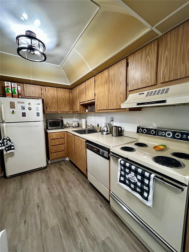 kitchen featuring light hardwood / wood-style floors, white appliances, and sink