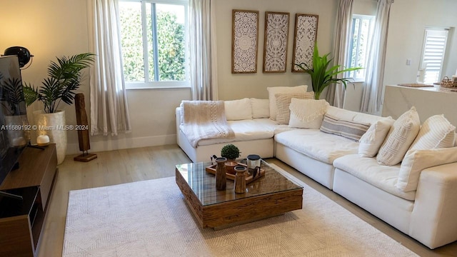 living room with light wood-type flooring and a wealth of natural light