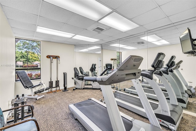 exercise room with carpet and a drop ceiling