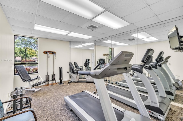 6320 Boca Del Mar Dr Unit 207, Boca Raton, FL 33433 - gym featuring carpet flooring and a drop ceiling