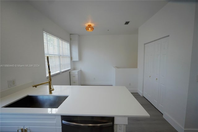 kitchen featuring dark hardwood / wood-style flooring, sink, and dishwasher