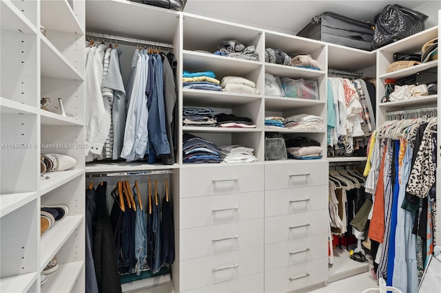 view of walk in closet