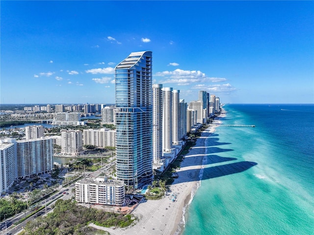 drone / aerial view with a water view and a view of the beach