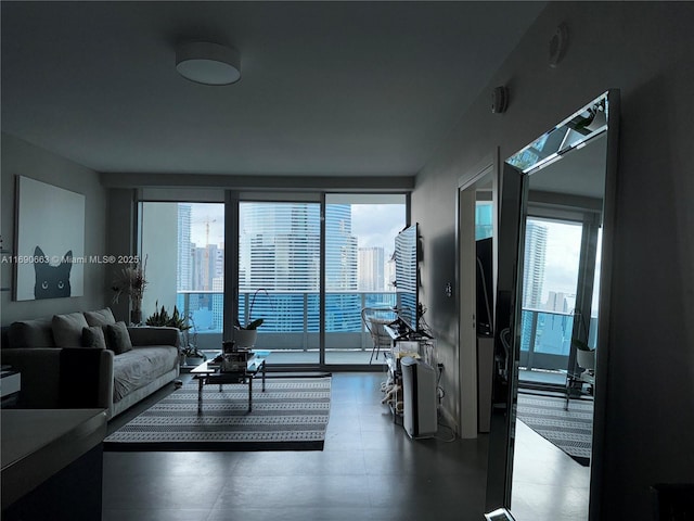 living area with plenty of natural light