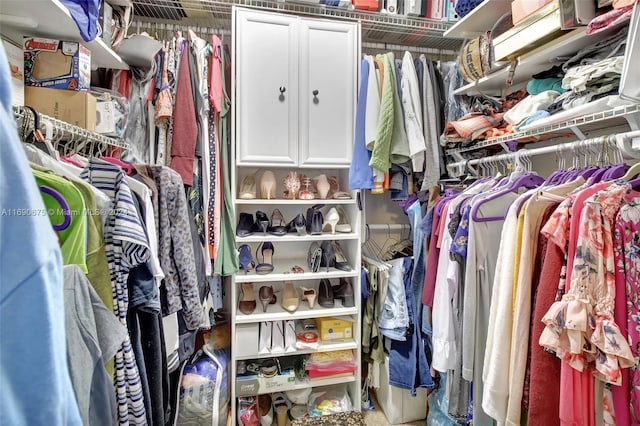 view of spacious closet