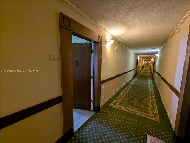 hallway featuring carpet, a textured ceiling, and ornamental molding