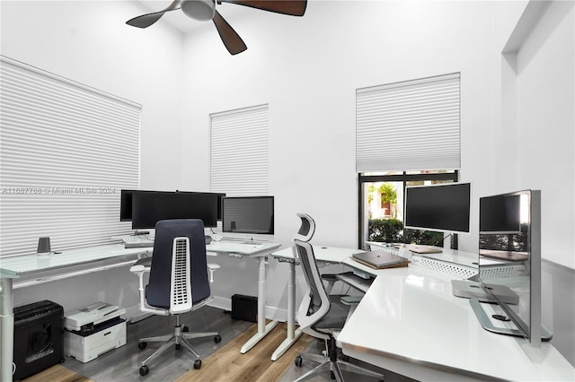 office area featuring ceiling fan and wood-type flooring