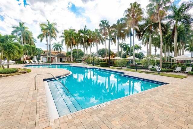 view of pool with a patio area