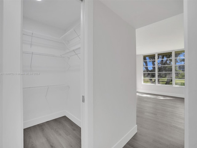 walk in closet featuring wood-type flooring