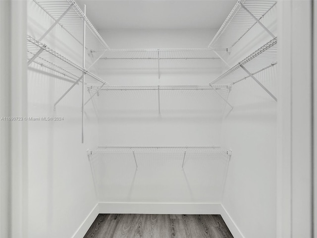 walk in closet featuring hardwood / wood-style floors