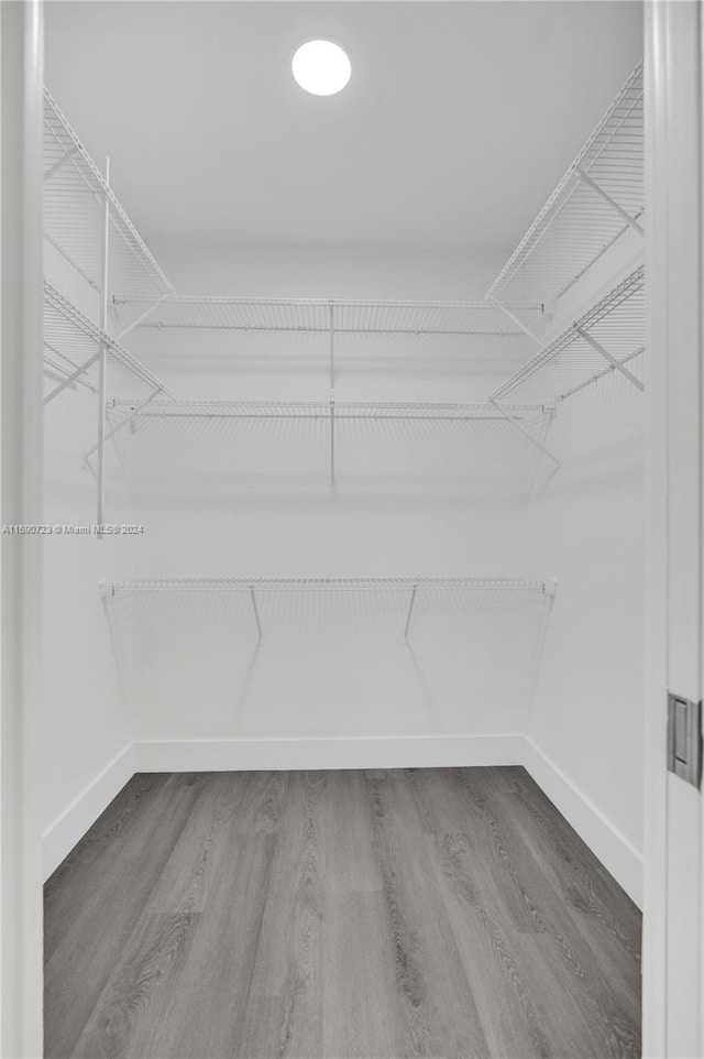 walk in closet with wood-type flooring