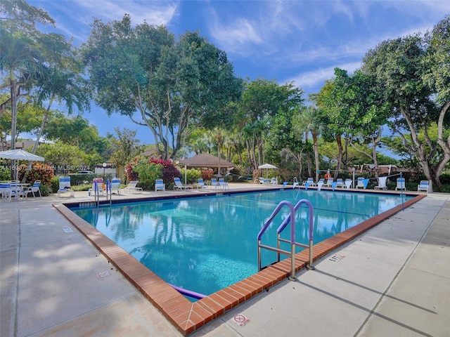 view of pool featuring a patio