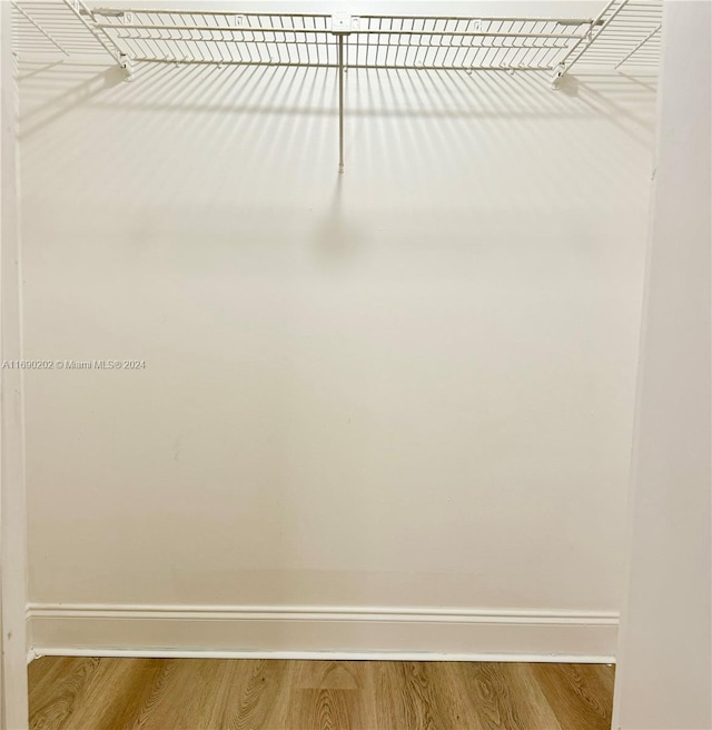 spacious closet with wood-type flooring