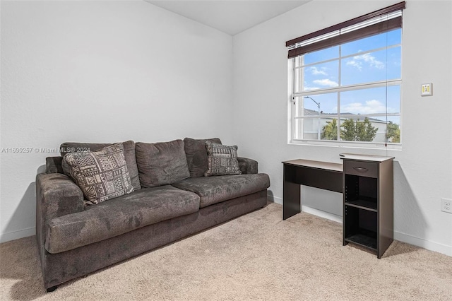 living room featuring light colored carpet