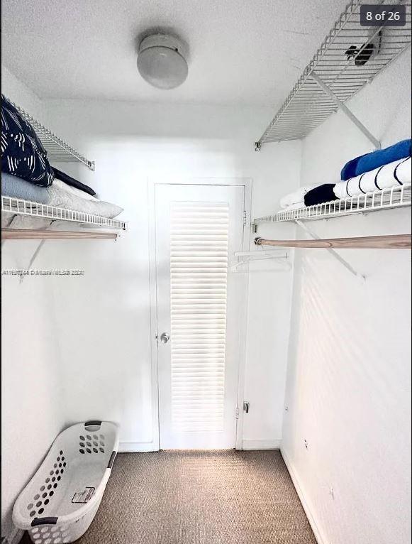 walk in closet with carpet floors