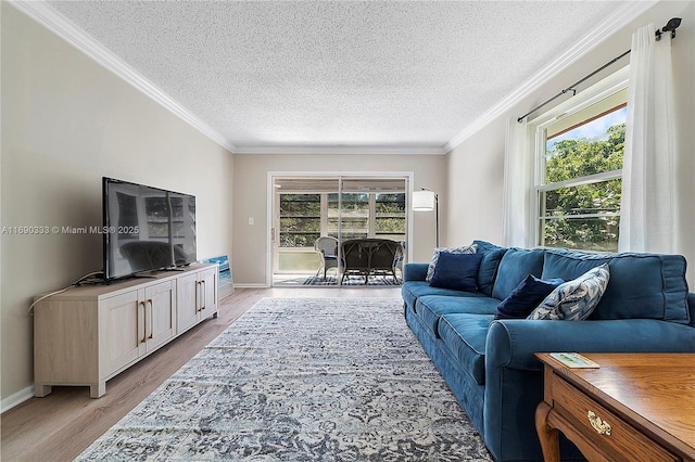 living room with ornamental molding, a wealth of natural light, a textured ceiling, and light hardwood / wood-style flooring