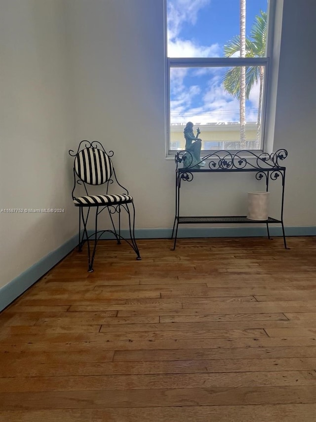 interior space featuring wood-type flooring