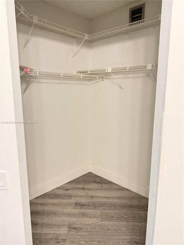 spacious closet featuring wood-type flooring