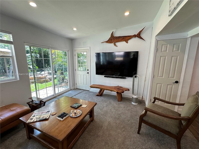 carpeted living room featuring a healthy amount of sunlight