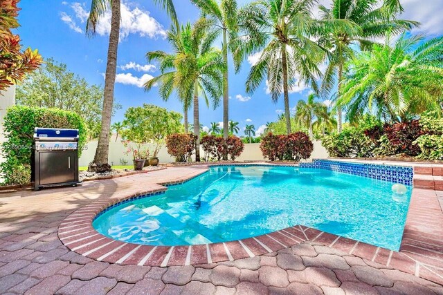 view of pool with grilling area and a patio area