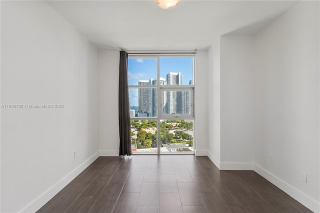 spare room featuring a wall of windows, plenty of natural light, and dark wood-type flooring