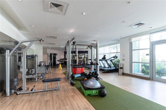 gym featuring wood-type flooring