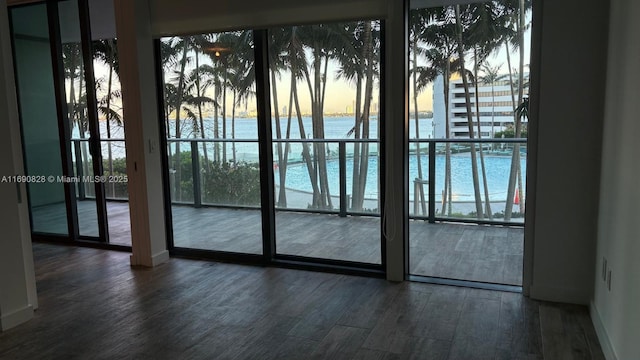 doorway with plenty of natural light, dark hardwood / wood-style floors, and a water view