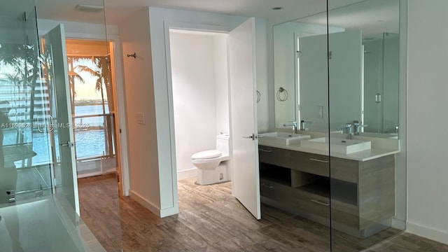 bathroom featuring vanity, toilet, and hardwood / wood-style floors