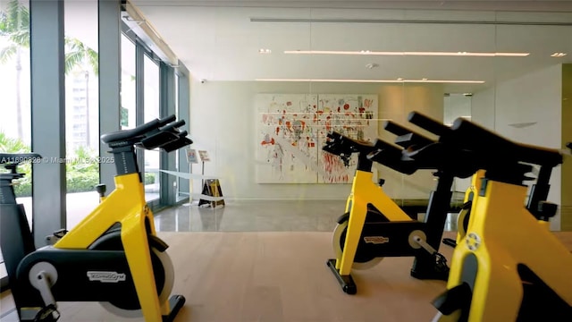 workout area featuring floor to ceiling windows