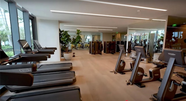 gym featuring wood-type flooring