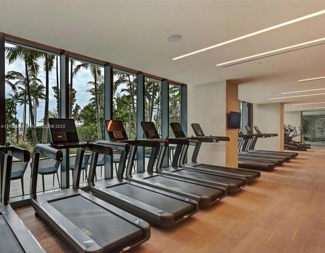 exercise room with a healthy amount of sunlight, wood finished floors, and floor to ceiling windows