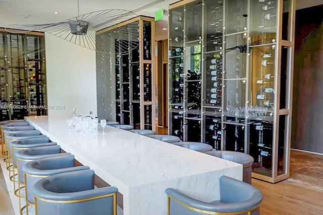 wine cellar with wood finished floors and a dry bar
