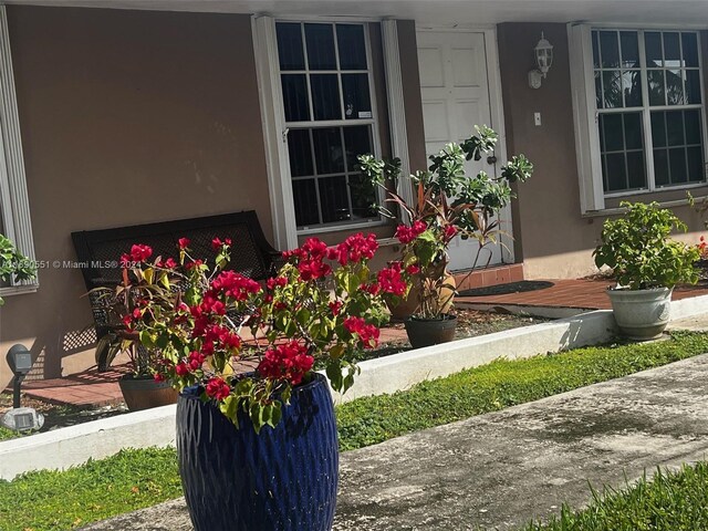 16331 SW 104th Ave, Miami, FL 33157 - property entrance featuring stucco siding
