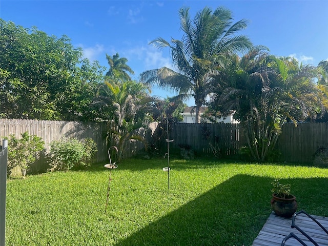 view of yard