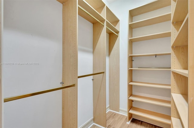 spacious closet featuring light hardwood / wood-style flooring