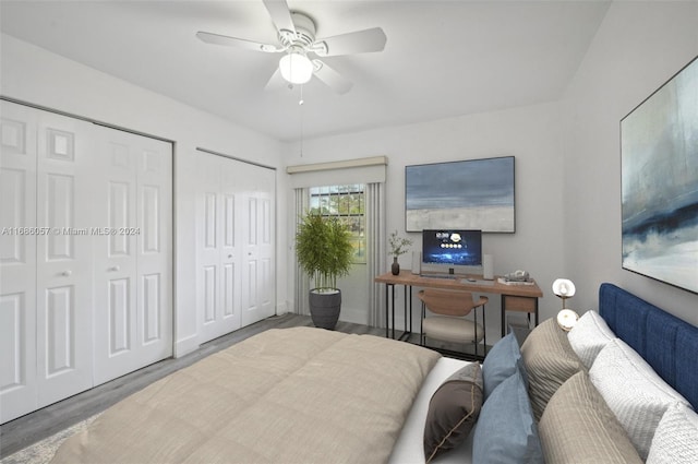 bedroom with wood-type flooring, ceiling fan, and two closets