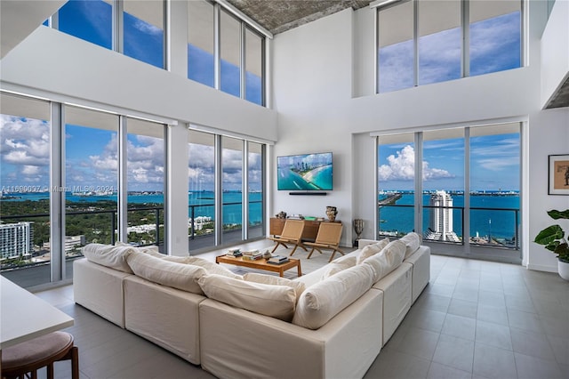 living room featuring a high ceiling