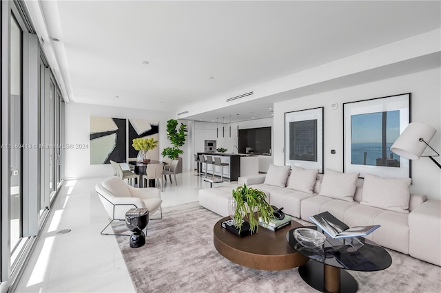 living room featuring a wealth of natural light