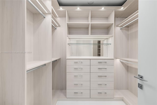 view of walk in closet