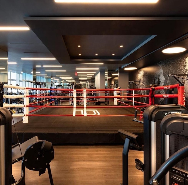 workout area featuring wood-type flooring