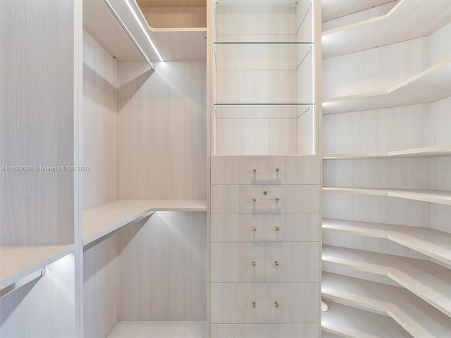 view of walk in closet