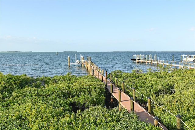 view of water feature featuring a dock