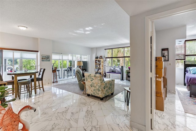 living room with a textured ceiling