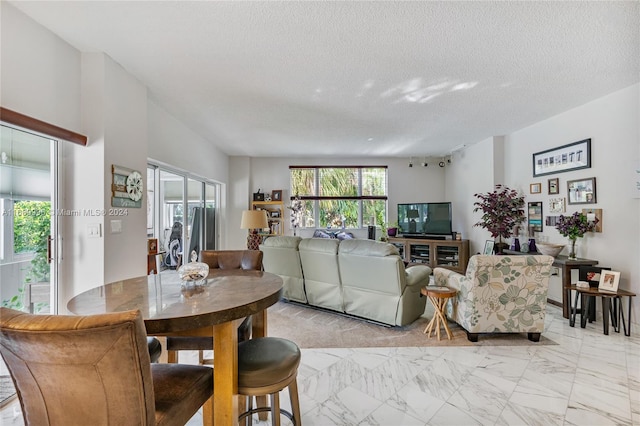 living room with a textured ceiling