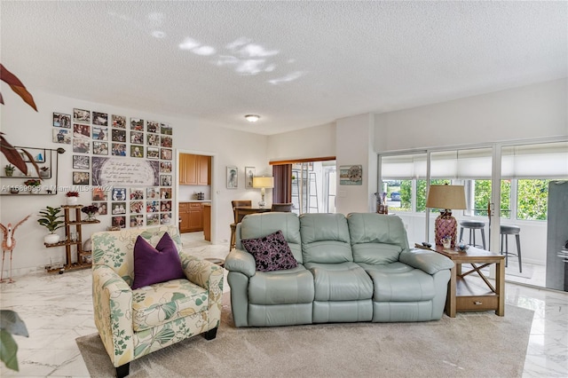 carpeted living room with a textured ceiling