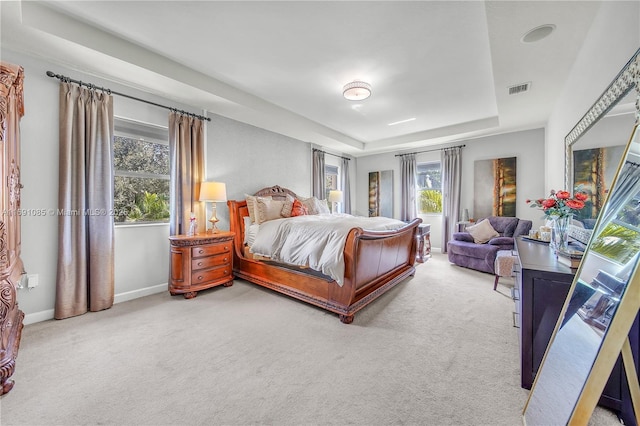 bedroom with a tray ceiling and carpet flooring