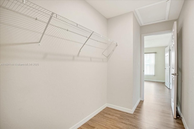 walk in closet with hardwood / wood-style flooring