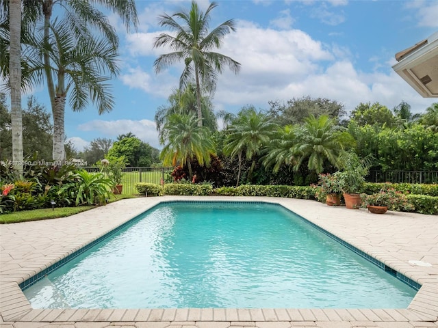 view of swimming pool featuring a patio area