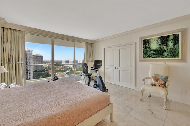 bedroom with a closet and ornamental molding