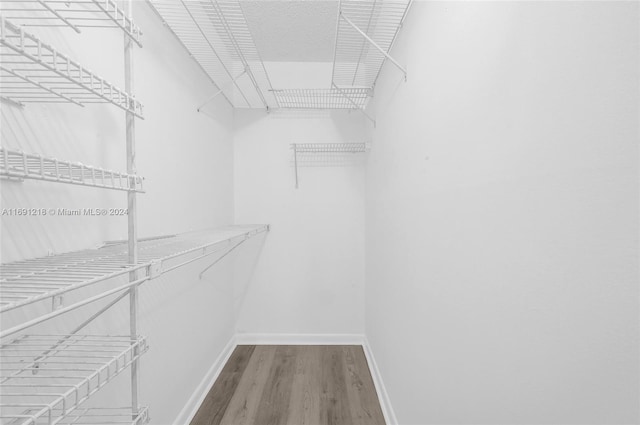 spacious closet featuring hardwood / wood-style flooring